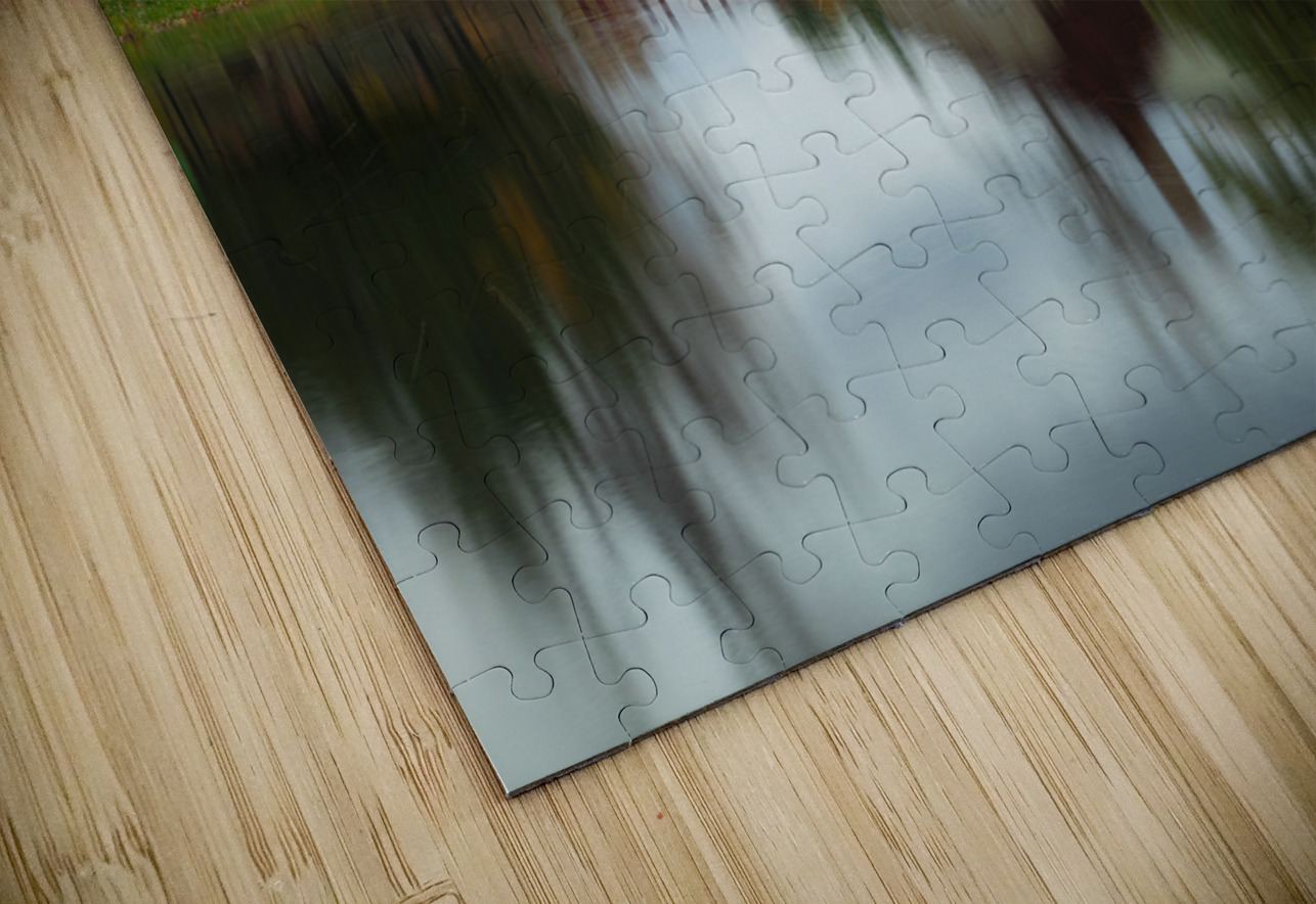 Stewart park Reflections Daniel Pekar Photography Puzzle