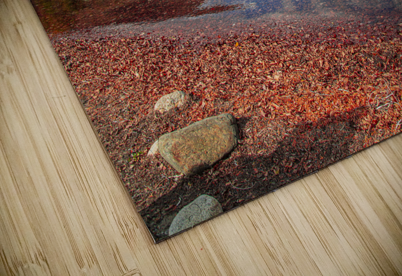 Lake Willoughby Autumn Reflections Daniel Pekar Photography Puzzle