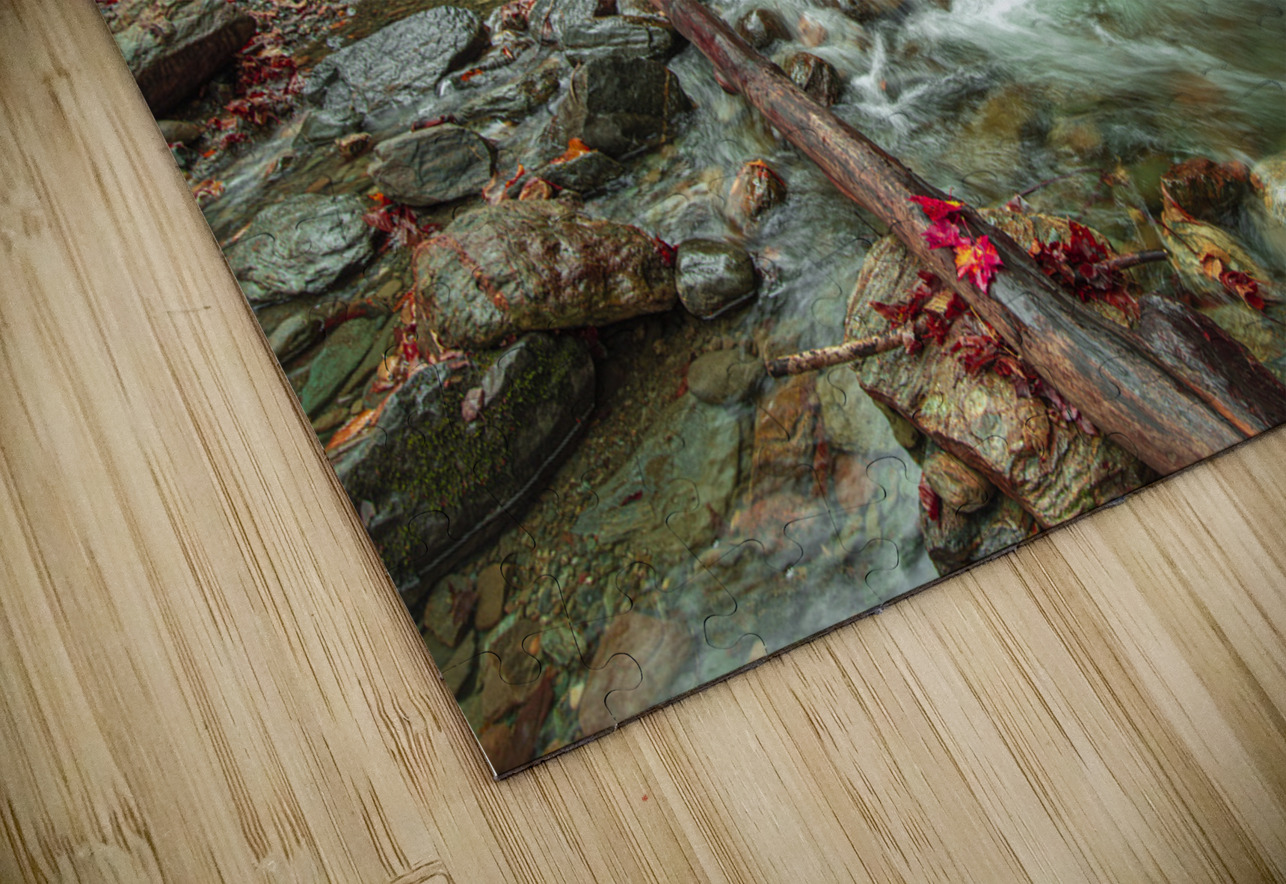 Autumn Forest Stream Daniel Pekar Photography Puzzle