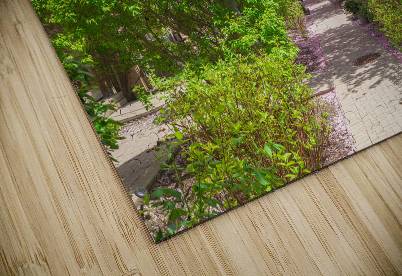 Dreamy Spring Path Daniel Pekar Photography Puzzle