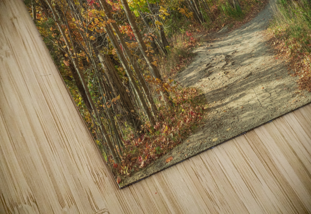 Decew Falls Autumn Trail Daniel Pekar Photography Puzzle