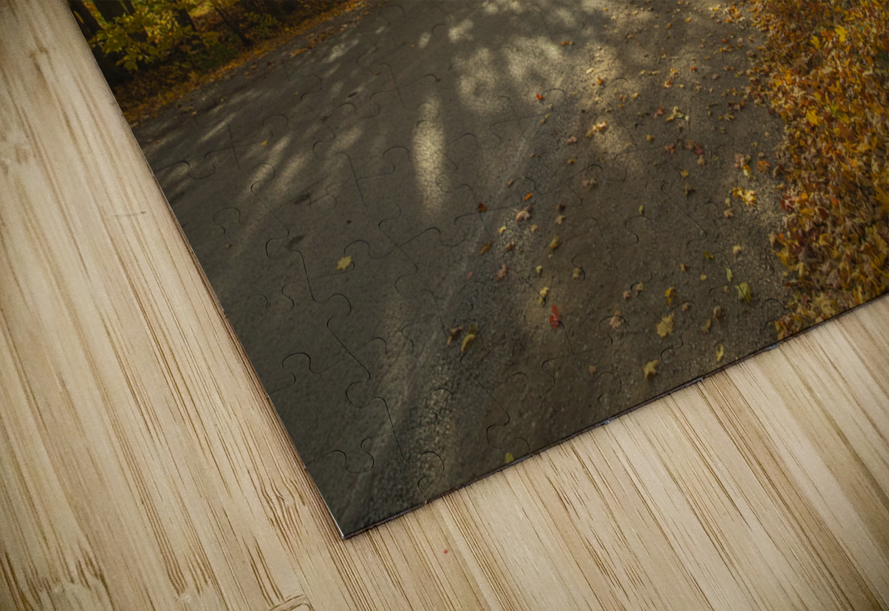 Howells Autumn Road Daniel Pekar Photography Puzzle