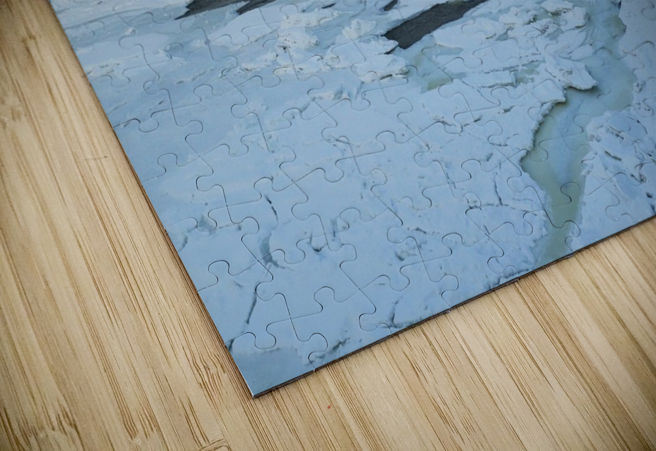 Lady Evelyn Winter Wonderland Daniel Pekar Photography Puzzle