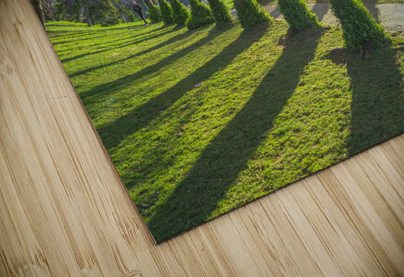 Morning Spring Freshness Daniel Pekar Photography Puzzle