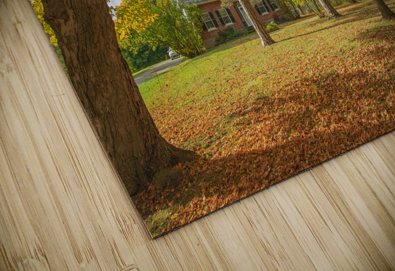 Rural Niagara Autumn Residence Daniel Pekar Photography Puzzle