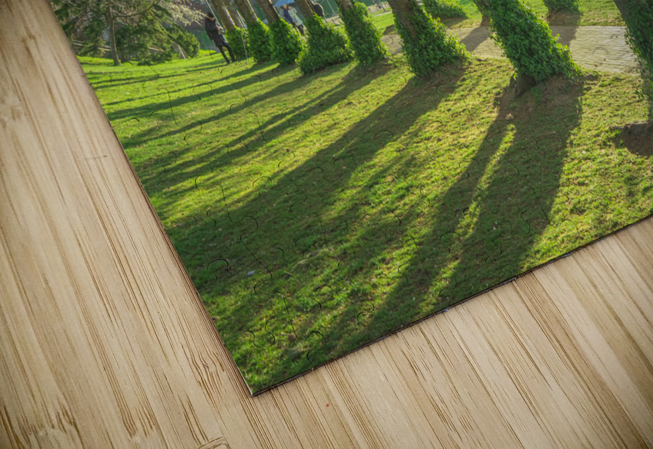 Spencer Park Cherry Blossom Splendor Daniel Pekar Photography Puzzle