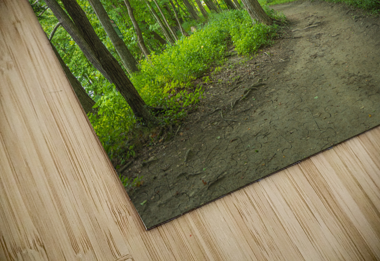 Summer fresh forest glow Daniel Pekar Photography Puzzle