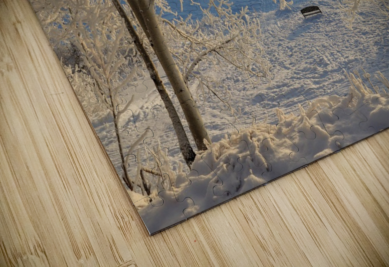 Winter wonderland frost Daniel Pekar Photography Puzzle