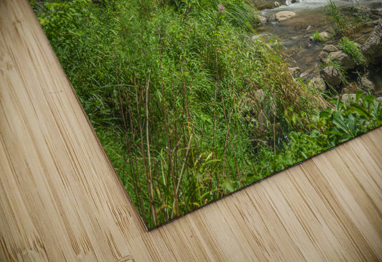 Summer at Chittenango Falls Daniel Pekar Photography Puzzle