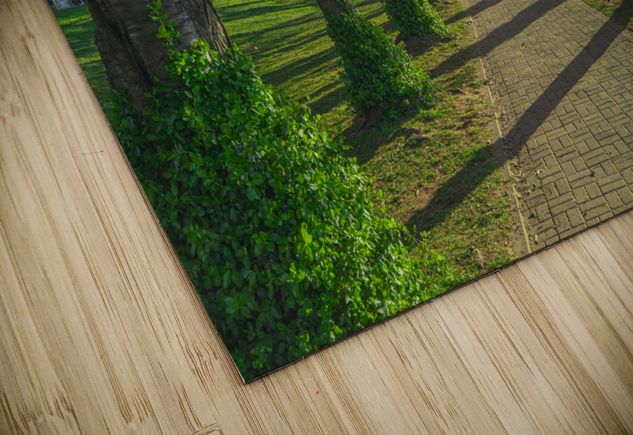 Cherry Blossom Pathway during sunrise Daniel Pekar Photography Puzzle