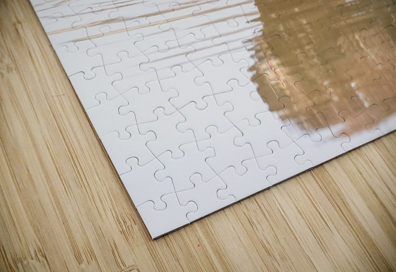 Juvenile Bald Eagle Reflection Daniel Pekar Photography Puzzle