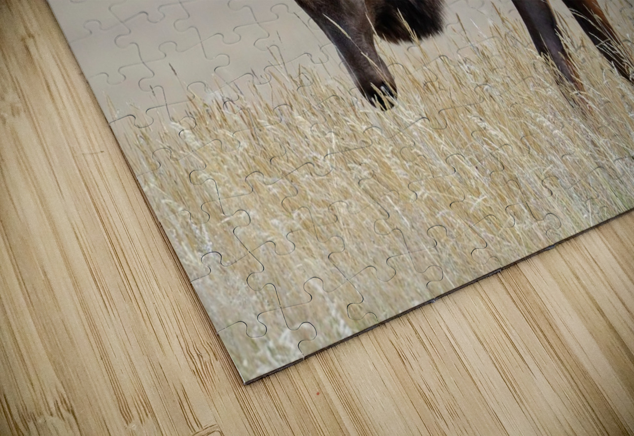 Jasper Elk Daniel Pekar Photography Puzzle