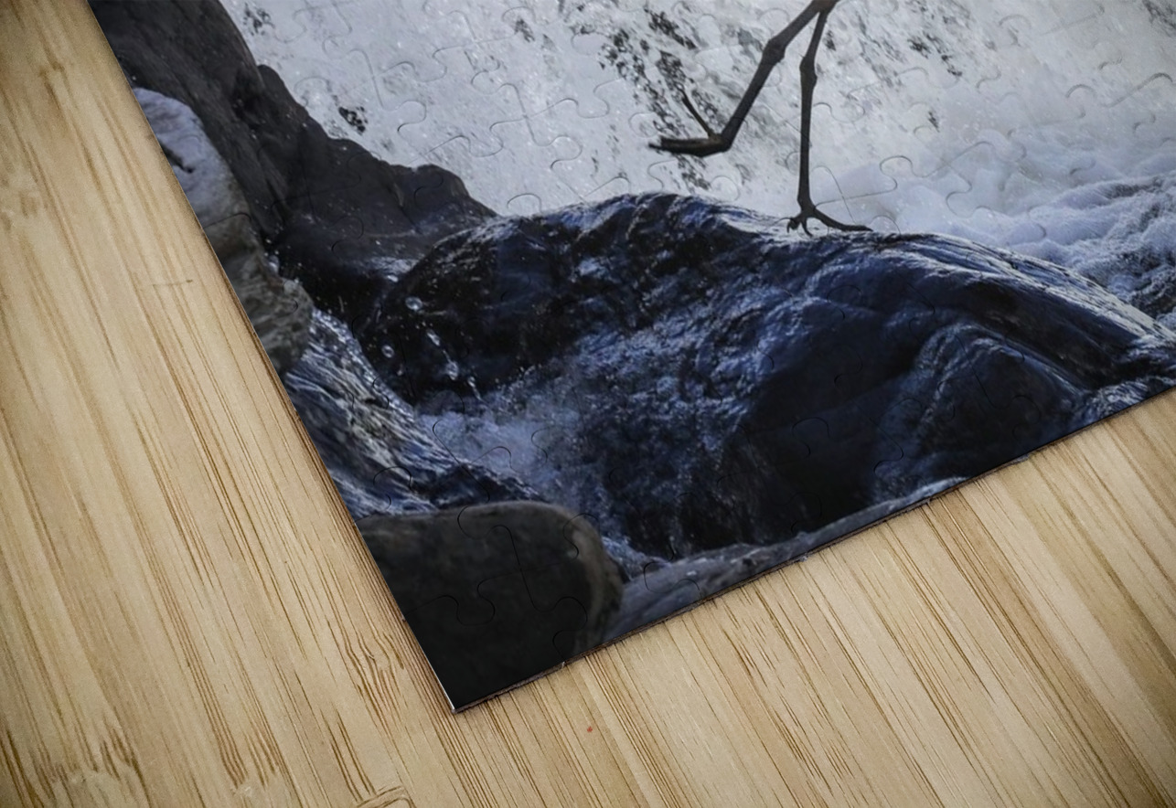 Blue Heron flight Takeoff Daniel Pekar Photography Puzzle