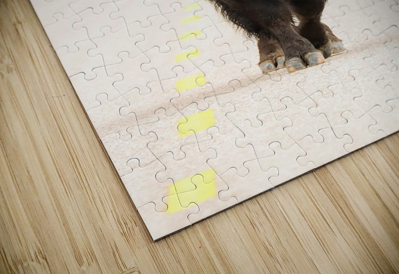 Big Boss of the Road   Wood Bison Daniel Pekar Photography Puzzle