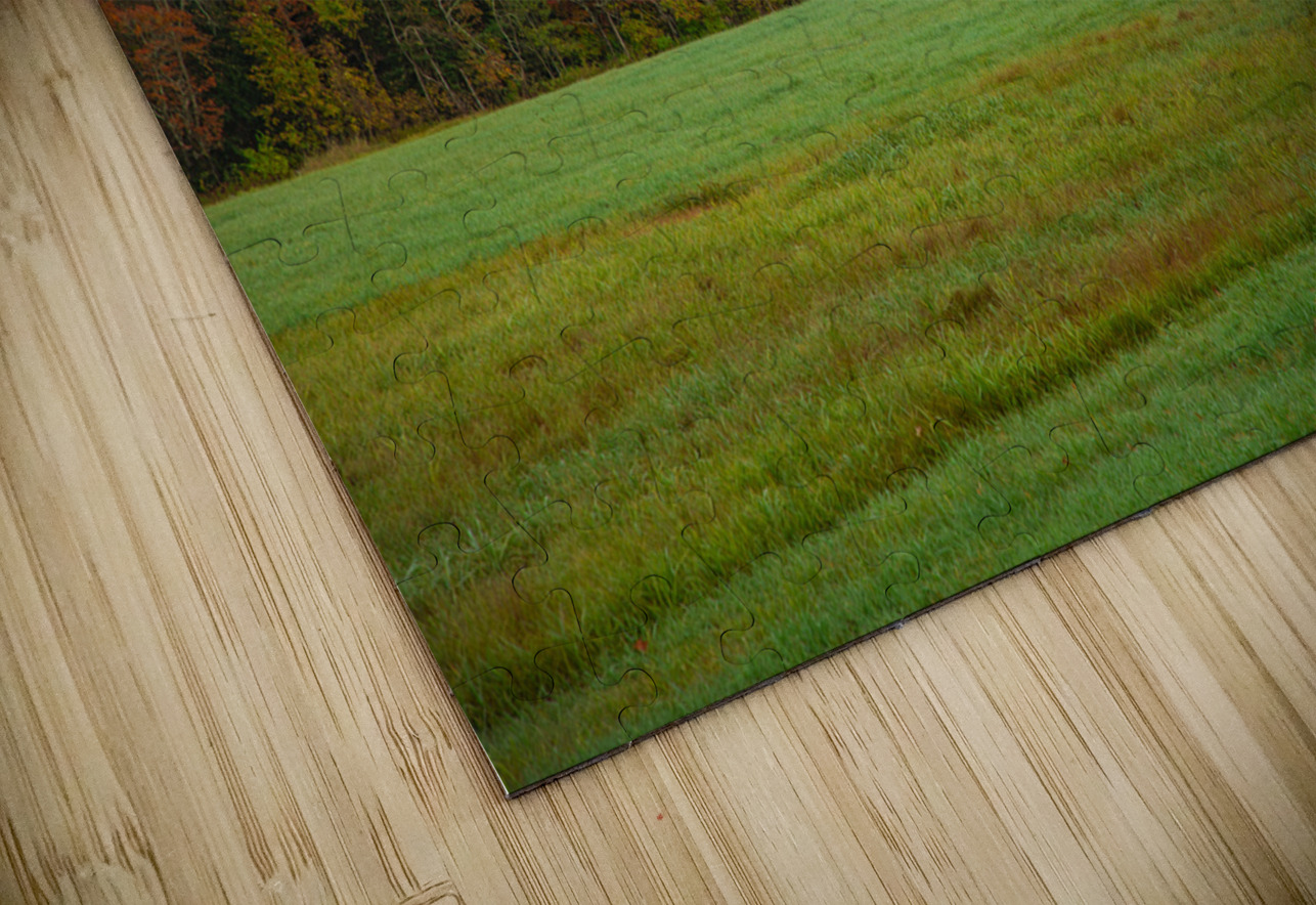 Barnet Autumn Rolling Hills Daniel Pekar Photography Puzzle