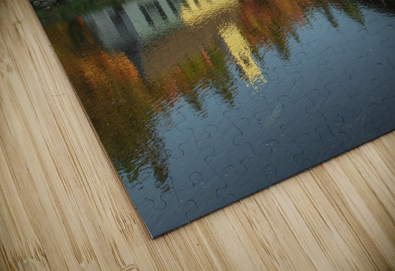Stark Autumn  Reflections Daniel Pekar Photography Puzzle