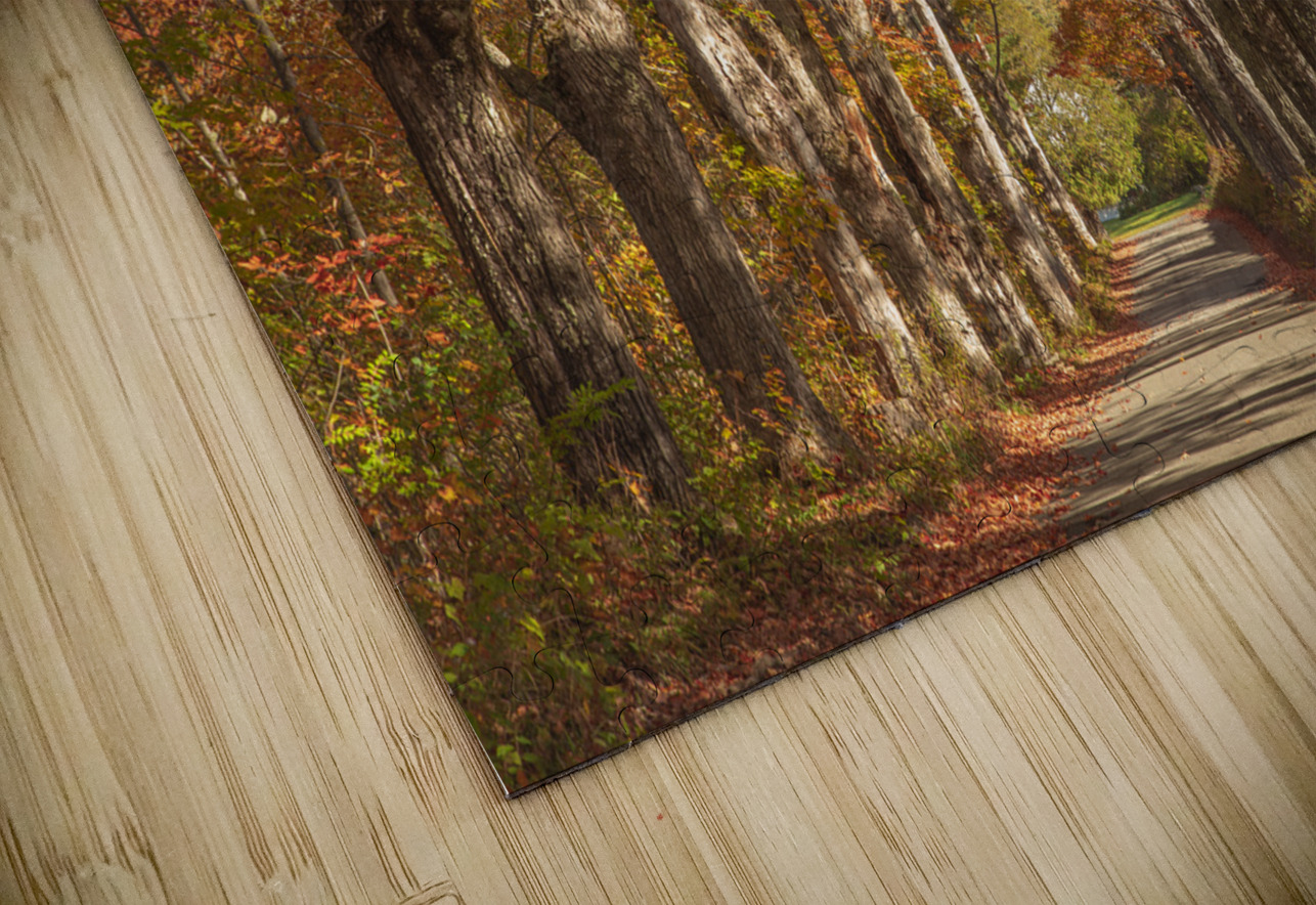 Lovers Lane Autumn Splendor Daniel Pekar Photography Puzzle