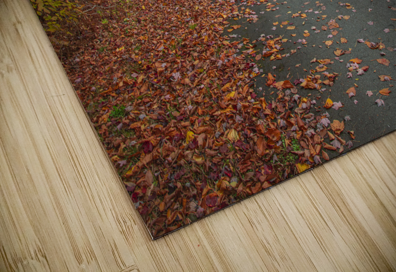 Magical Autumn Path to Bridge Daniel Pekar Photography Puzzle