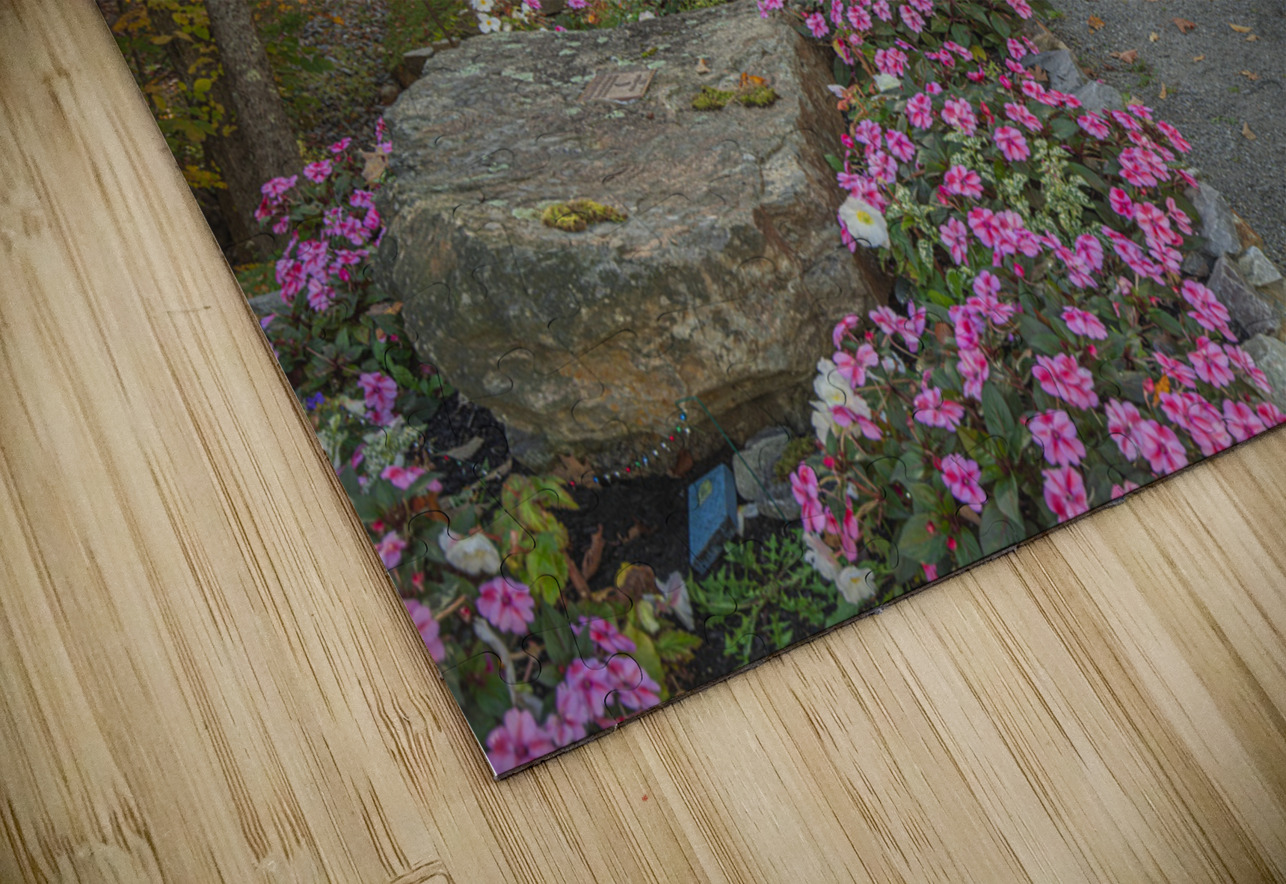 Autumn walk to Tannery Hill Bridge Daniel Pekar Photography Puzzle