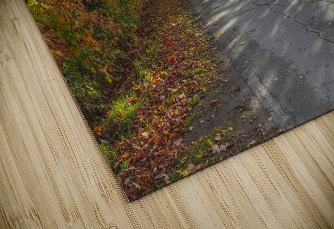 Autumn Road Morning Glow Daniel Pekar Photography Puzzle
