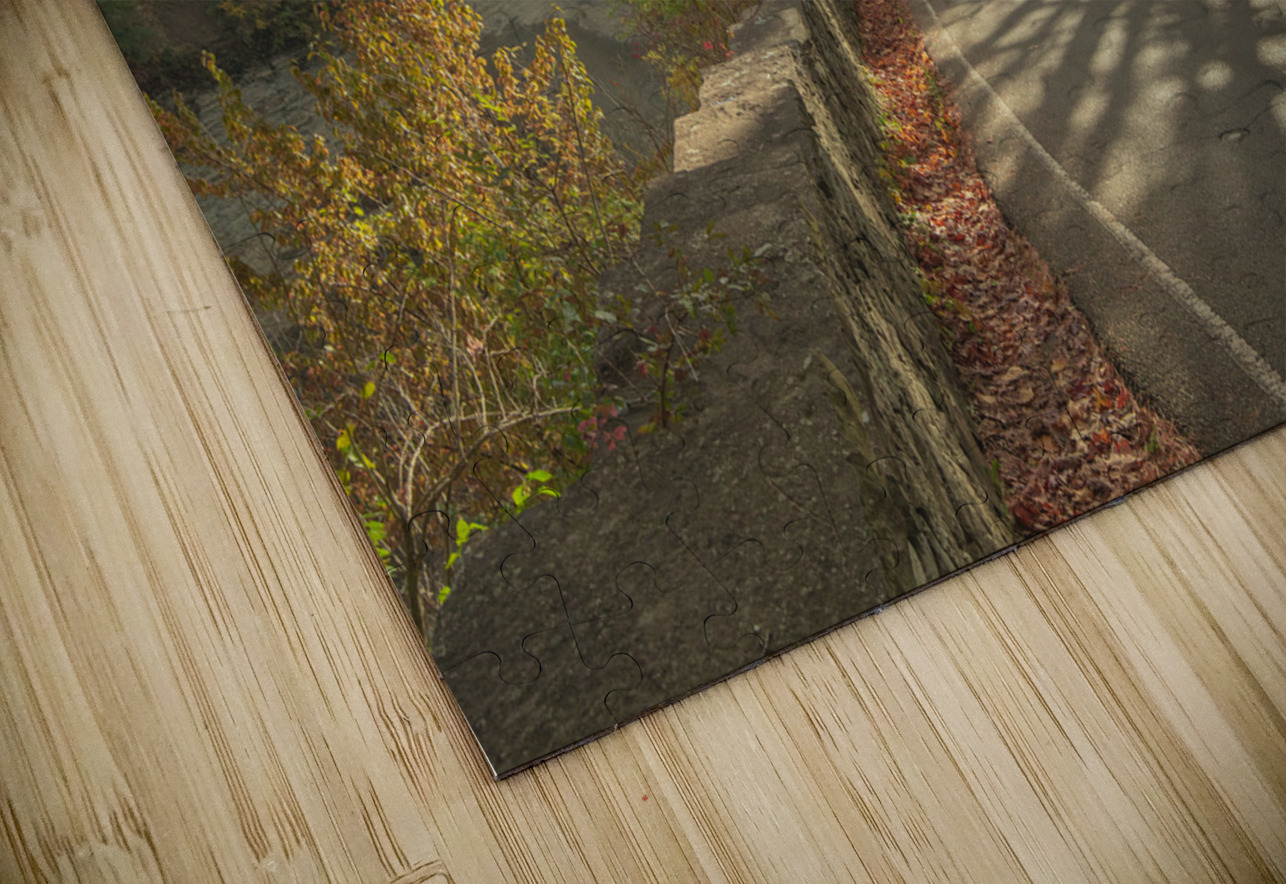 Letchworth Autumn Road Evening Glow Daniel Pekar Photography Puzzle