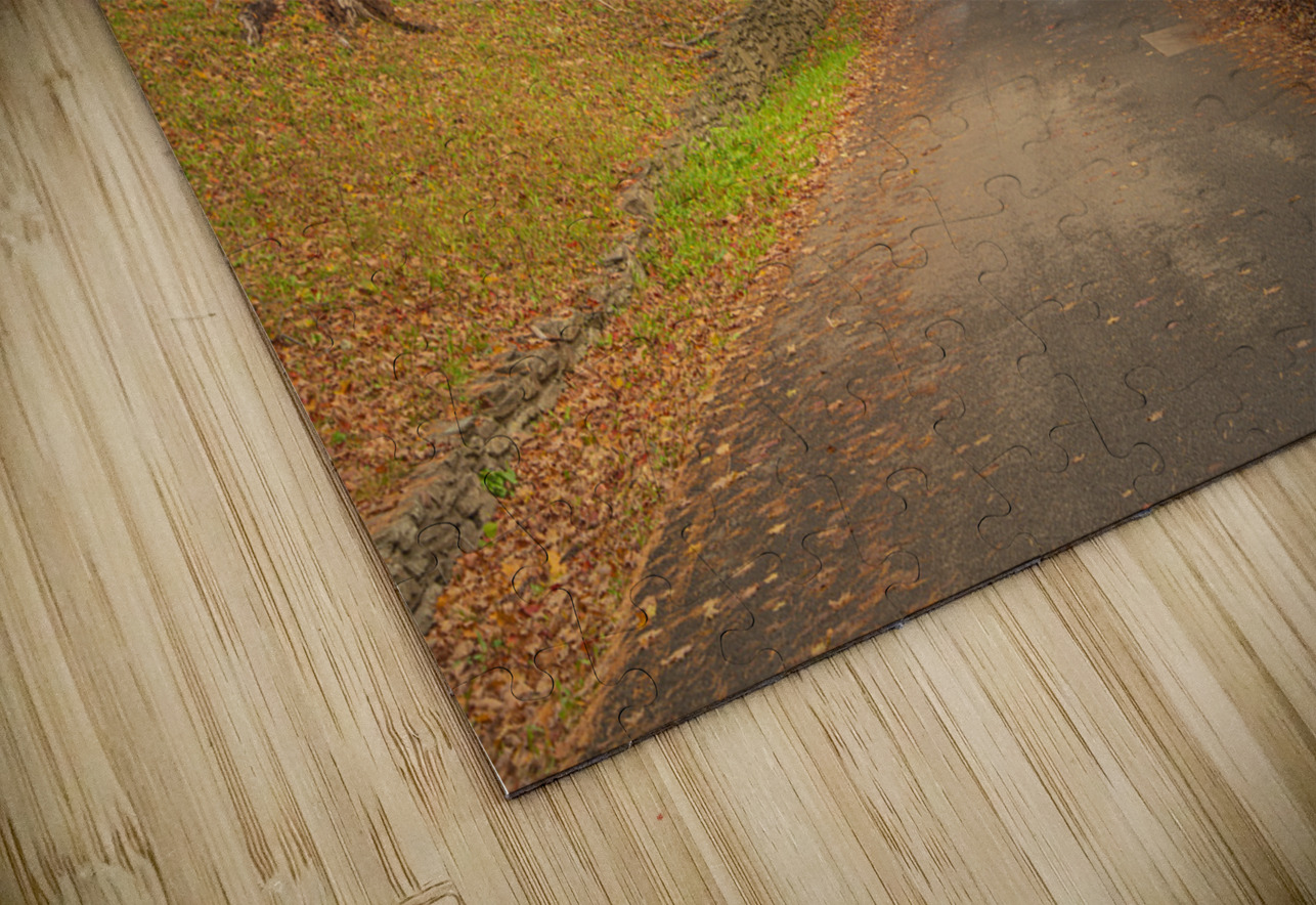 Letchworth Autumn Road to Paradise Daniel Pekar Photography Puzzle