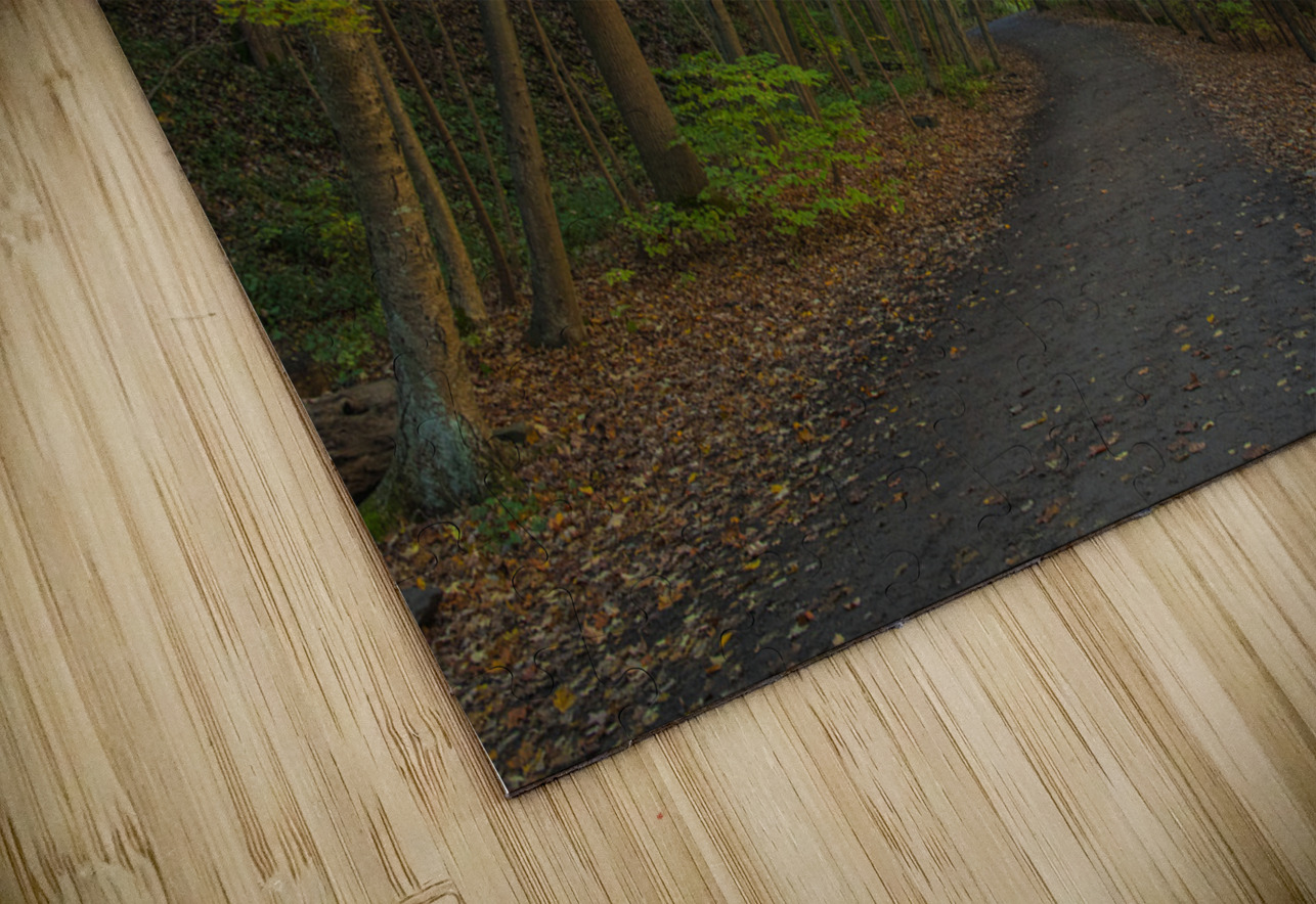 Taughannock Falls Forest Trail Daniel Pekar Photography Puzzle