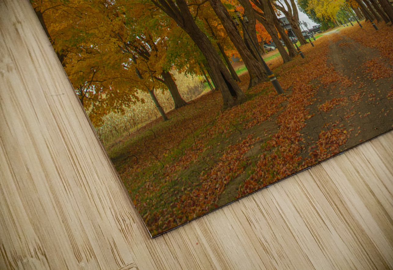 Enchanted Autumn Wonderland Pathway  Daniel Pekar Photography Puzzle