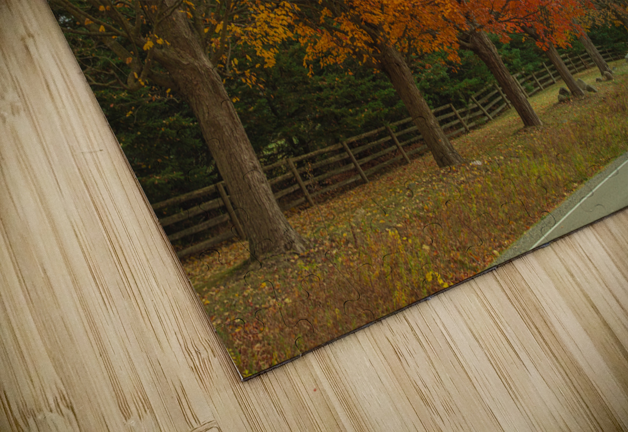 Rural Autumn Road Splendor  Daniel Pekar Photography Puzzle