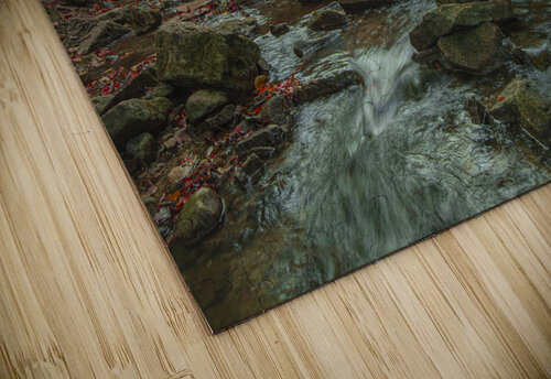 Belfountain early autumn flow Daniel Pekar Photography puzzle