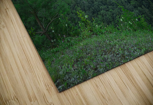 Archery Field Overlook Beauty Daniel Pekar Photography puzzle