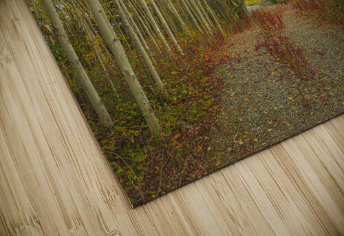 Northern Autumn Serenity Daniel Pekar Photography puzzle