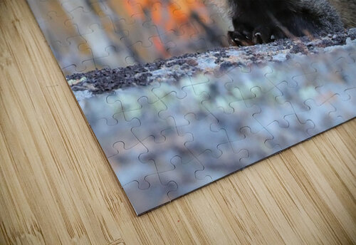 Young Crossfox in Autumn Daniel Pekar Photography puzzle