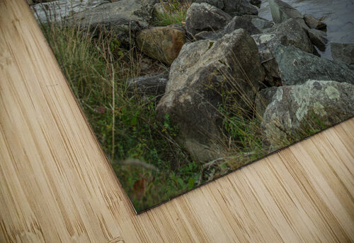 Harvey s Lake Autumn Fog Clearing Daniel Pekar Photography puzzle