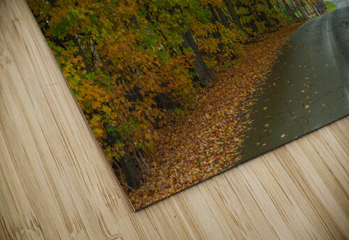 Colebrook Autumn Road Daniel Pekar Photography puzzle