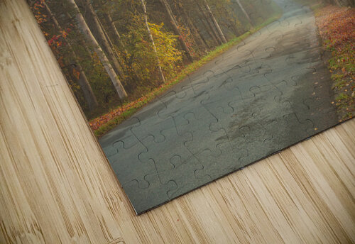 Foggy Morning Autumn Road Daniel Pekar Photography puzzle