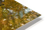 Autumn Glow HD Metal print
