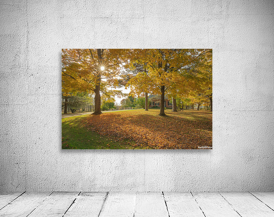 Autumn Glow Wall Preview