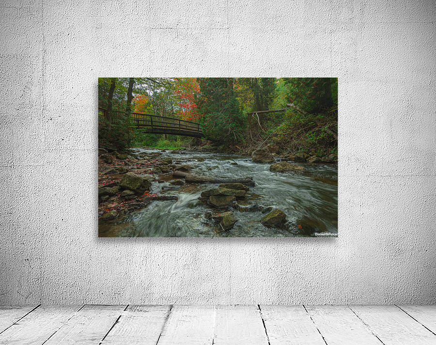 Belfountain early autumn flow Wall Preview