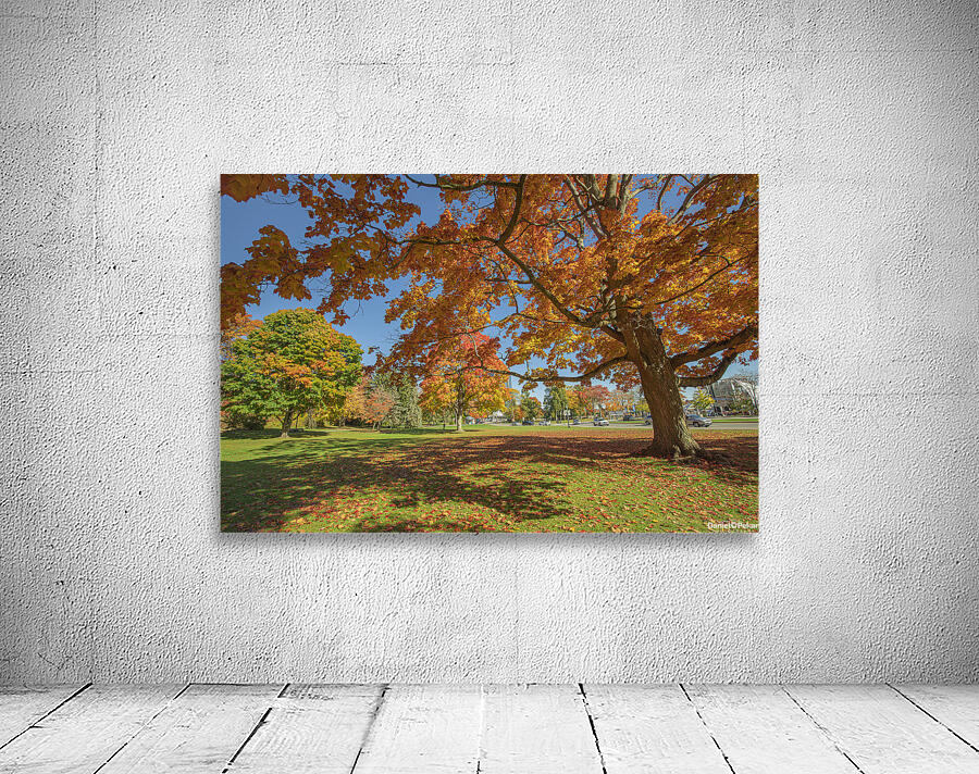 Niagara falls Autumn Magic Wall Preview