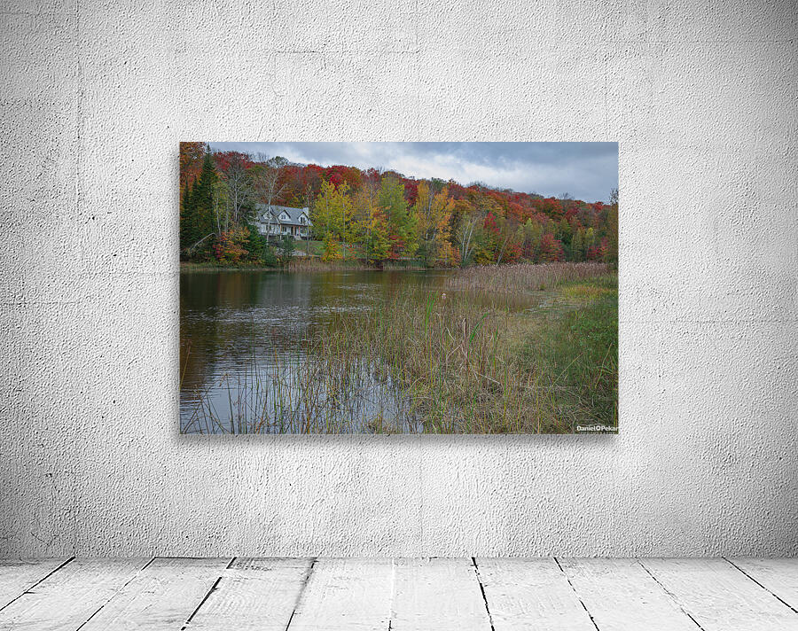 Saint Sophie Autumn Vibrancy Wall Preview