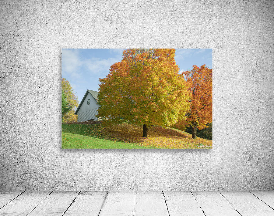 Autumn Classic Maples Wall Preview