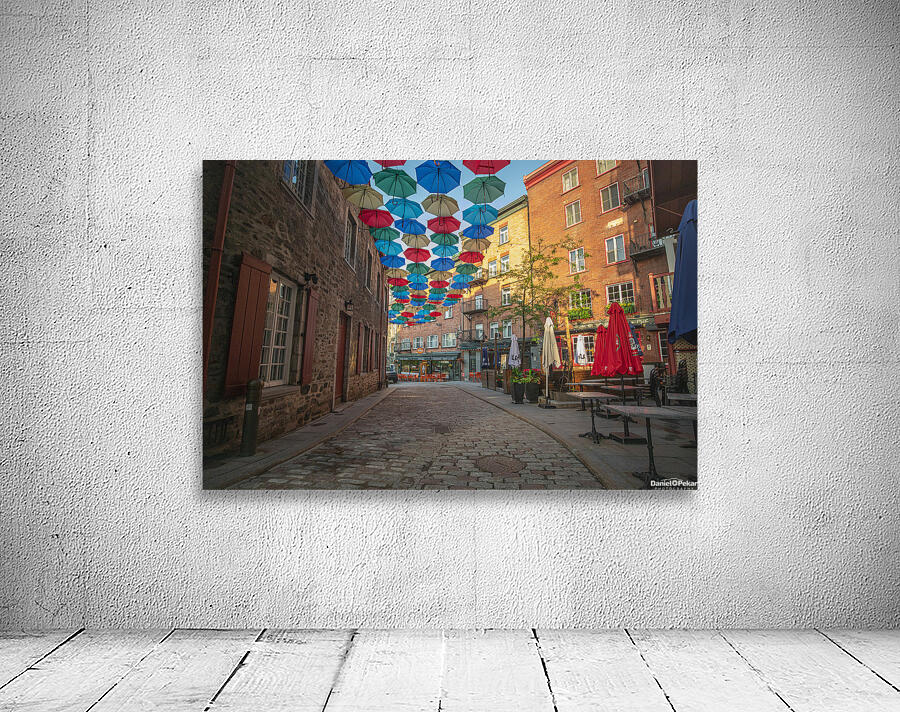 Quebec City Umbrella Vibes Wall Preview