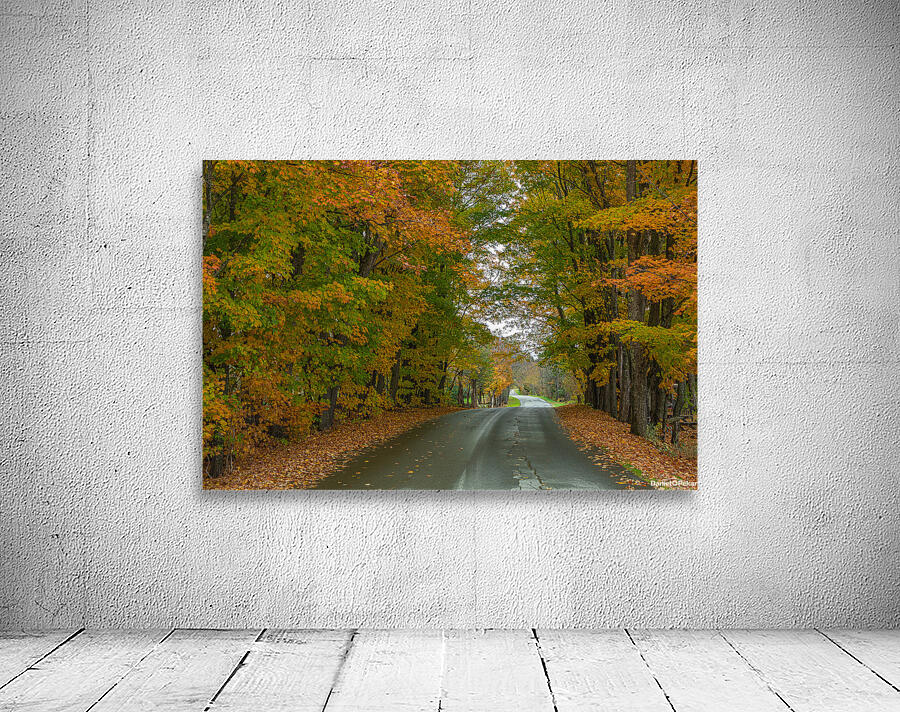 Colebrook Autumn Road Wall Preview