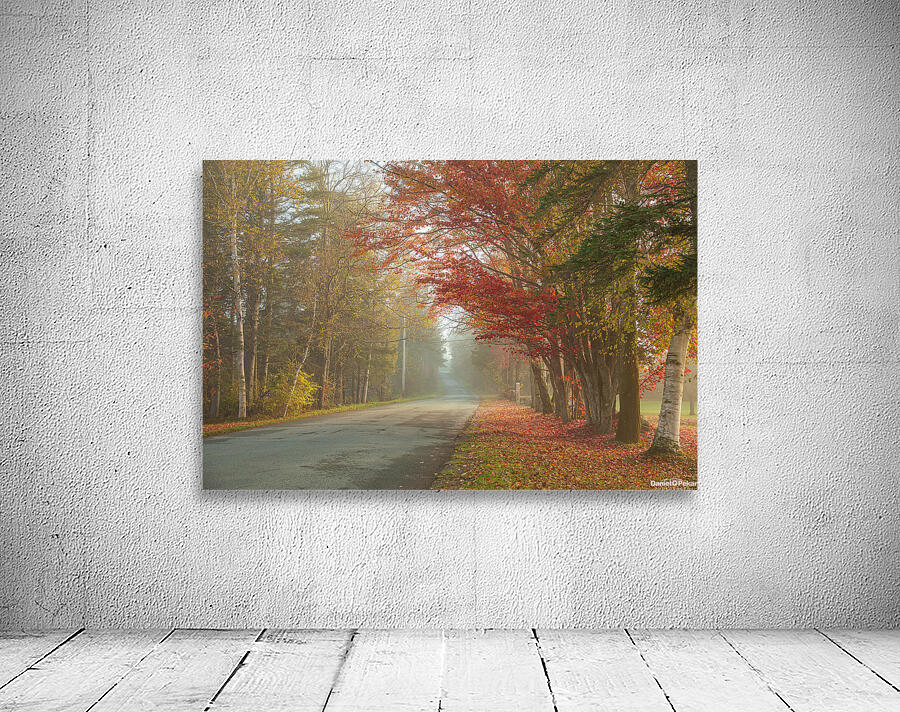 Foggy Morning Autumn Road Wall Preview