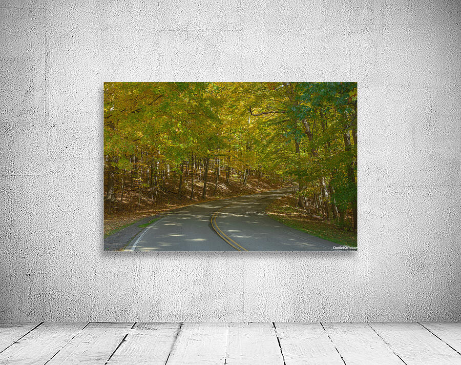 Letchworth Autumn Tree Tunnel Glow Wall Preview