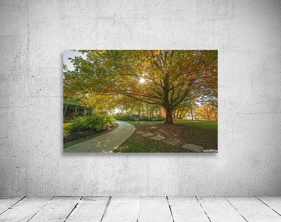 Letchworth Autumn Glow Wall Preview