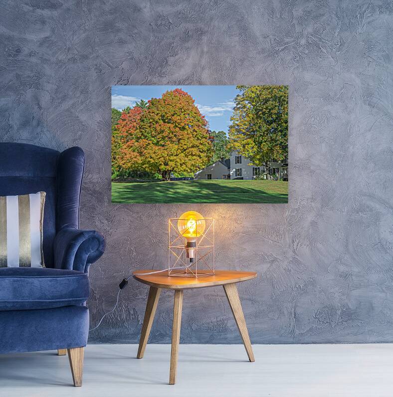 Autumn Maple Magic Reproduction