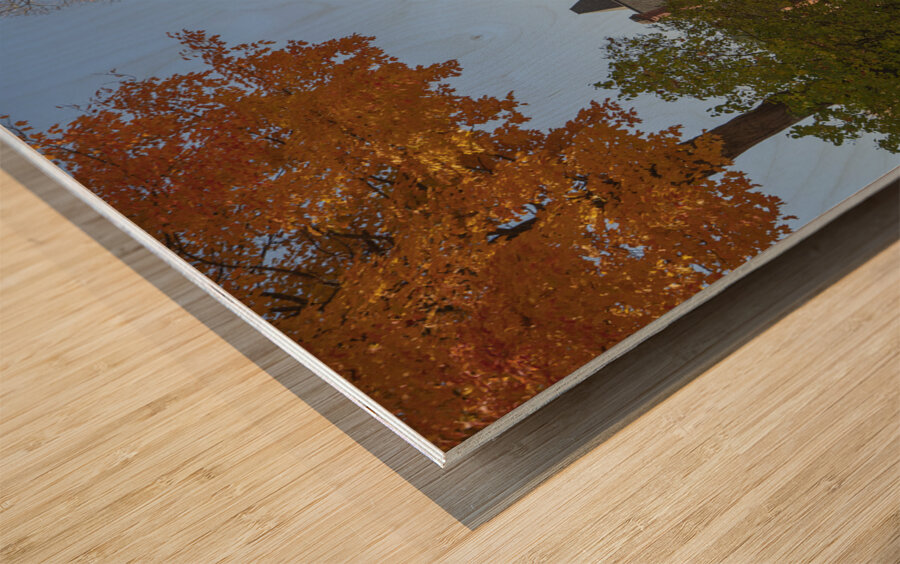 Autumn Beauty Wood print