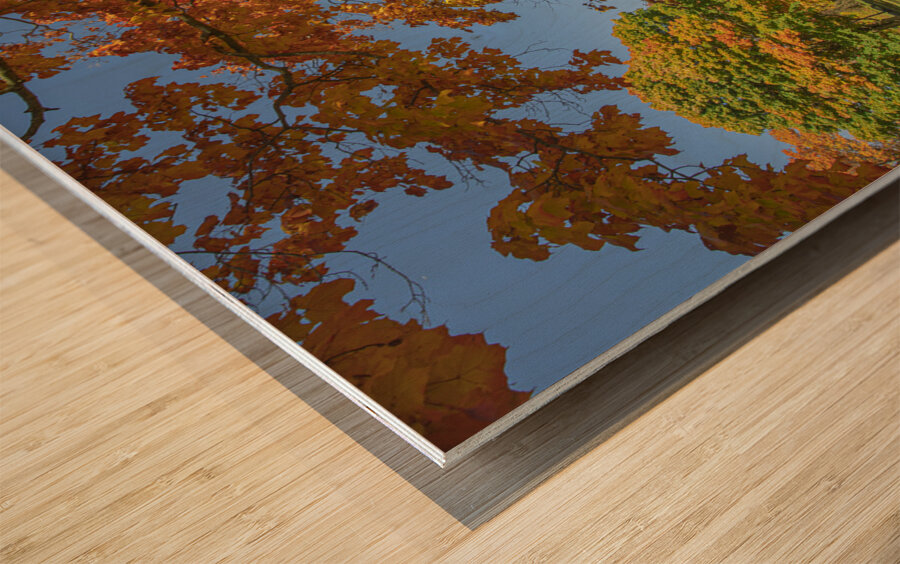 Niagara falls Autumn Magic Wood print